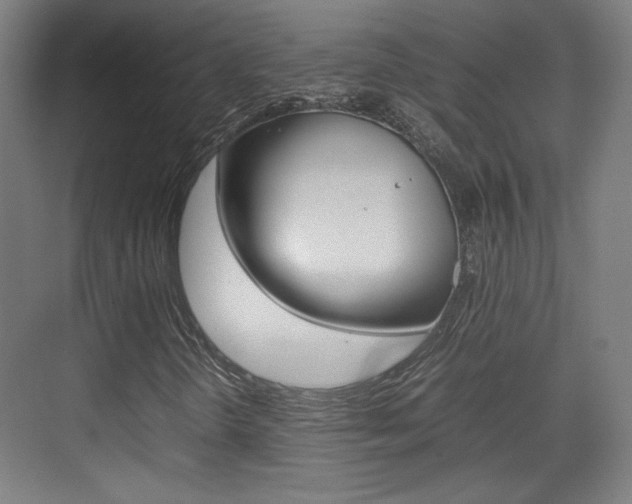 X0000074931298200609010908