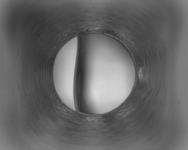 X0000074931299200609010908