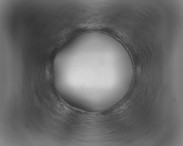 X0000074931300200609010908