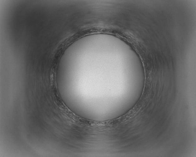 X0000074931302200609010909