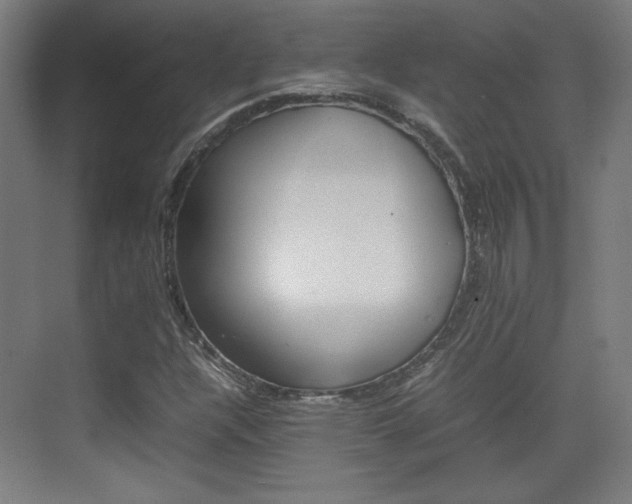 X0000074931304200609010909
