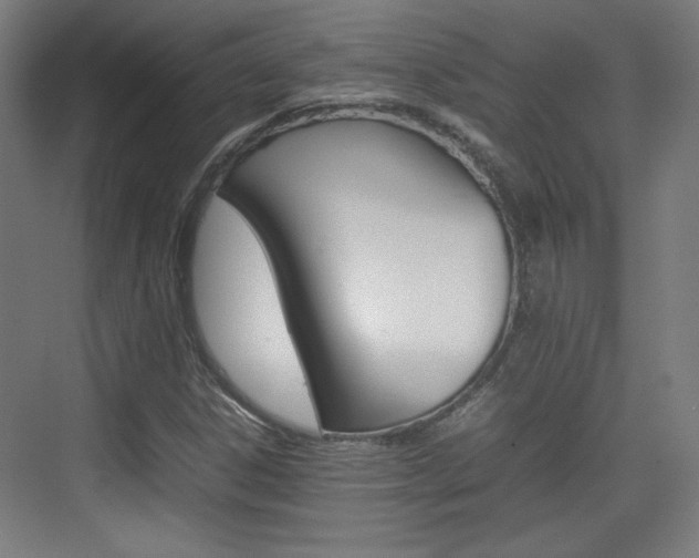 X0000074931306200609010909