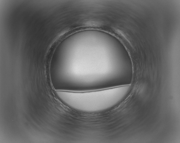X0000074931307200609010909