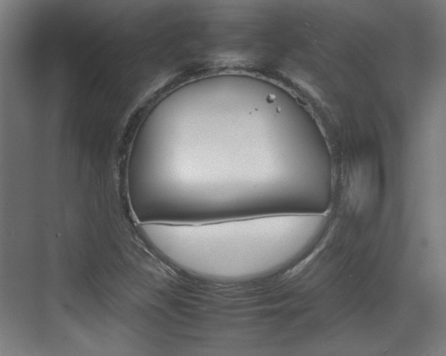 X0000074931309200609010909