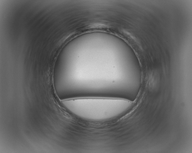 X0000074931313200609010909