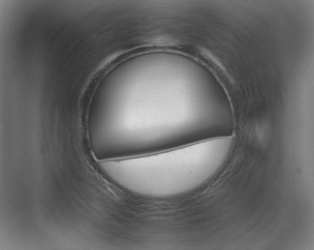X0000074931315200609010909