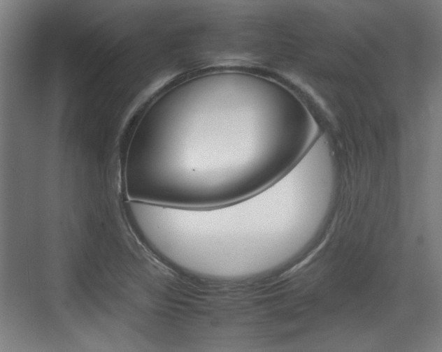 X0000074931317200609010909