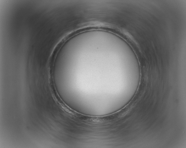 X0000074931318200609010909