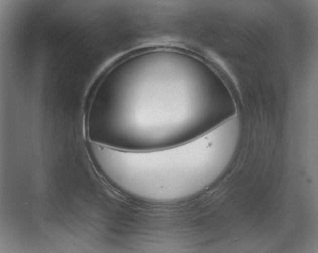 X0000074931320200609010909