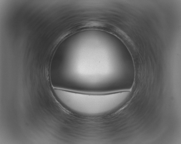 X0000074931321200609010909