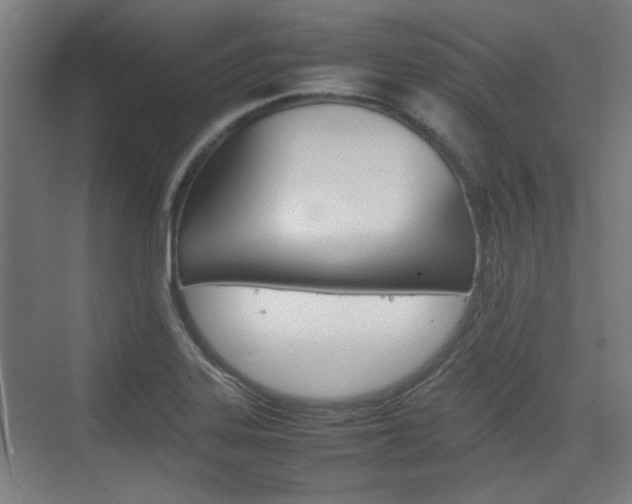 X0000074931323200609010909