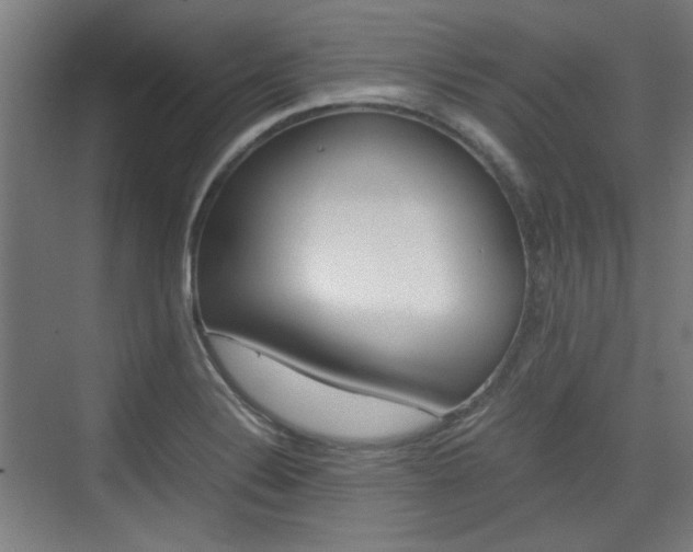 X0000074931324200609010909