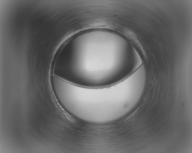 X0000074931328200609010909