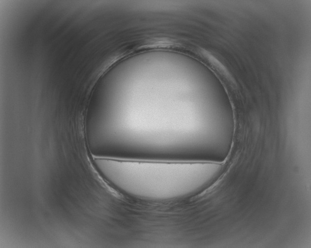 X0000074931329200609010909