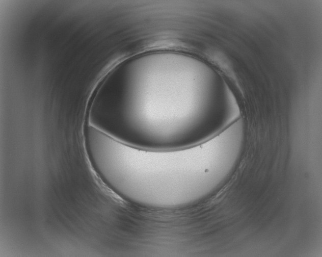 X0000074931330200609010909