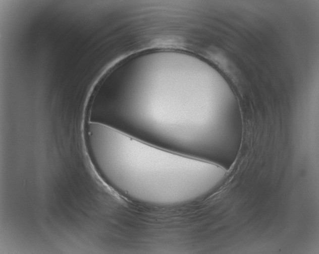 X0000074931331200609010909