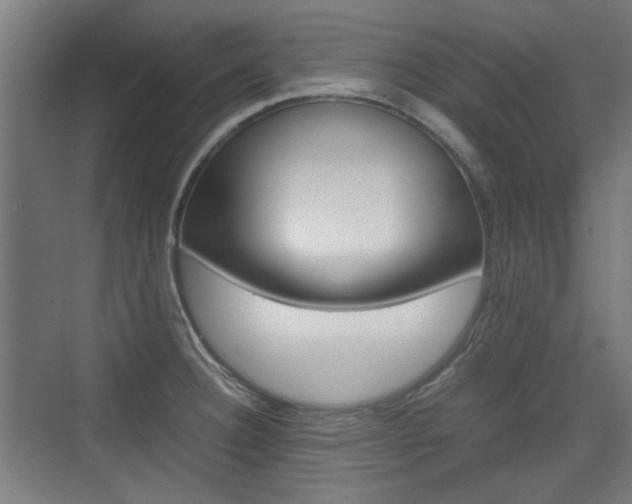 X0000074931332200609010909