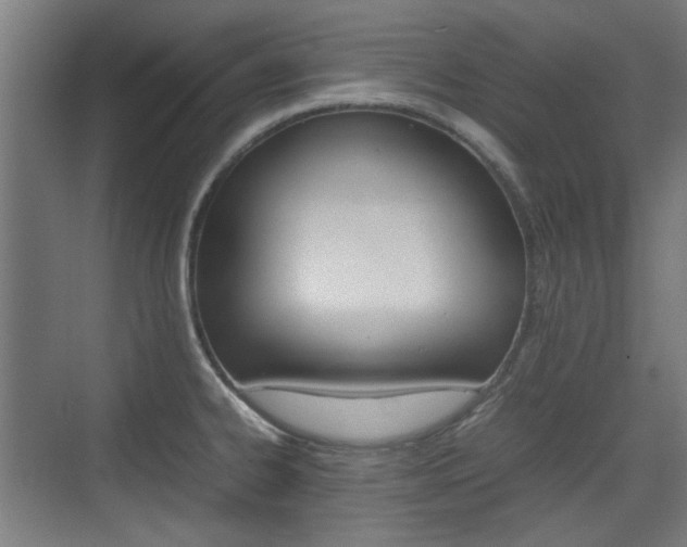 X0000074931334200609010909