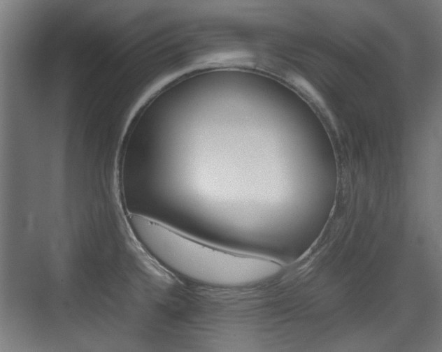 X0000074931336200609010909