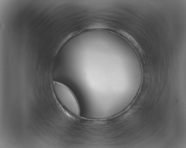 X0000074931337200609010909