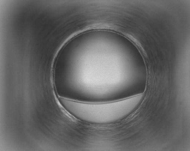 X0000074931342200609010909