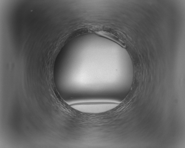 X0000074931345200609010908