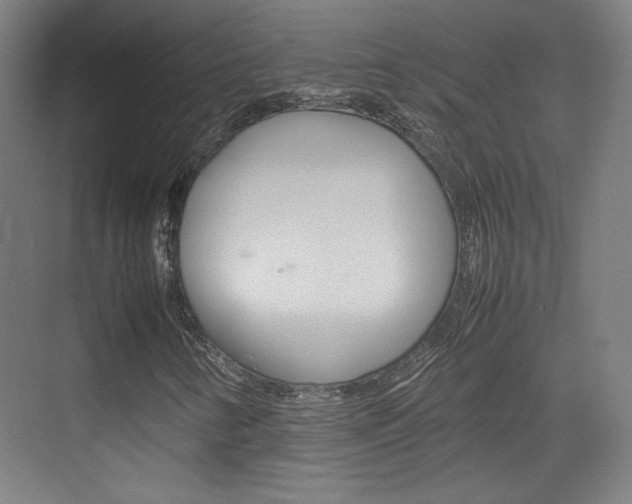 X0000074931346200609010908