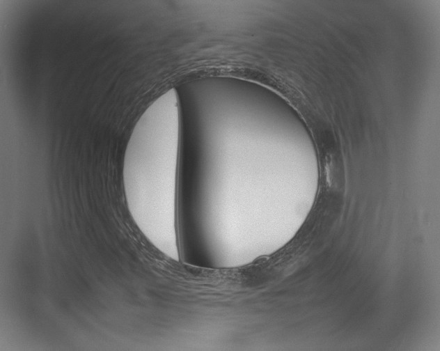 X0000074931347200609010908