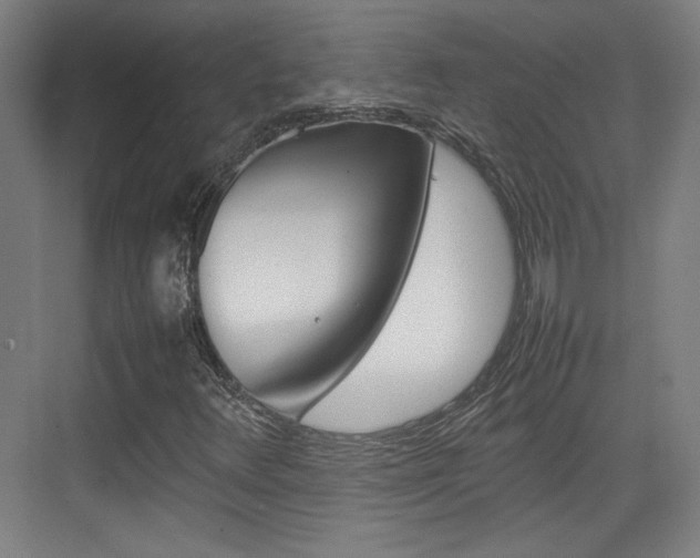 X0000074931348200609010908