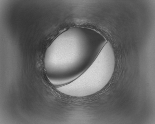 X0000074931349200609010908