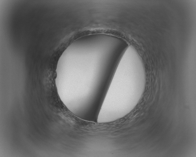 X0000074931351200609010908