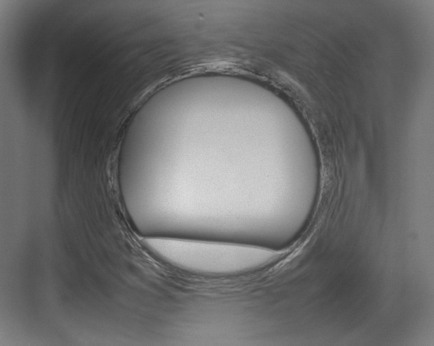X0000074931353200609010908