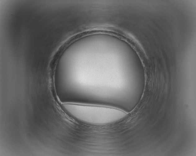X0000074931360200609010908