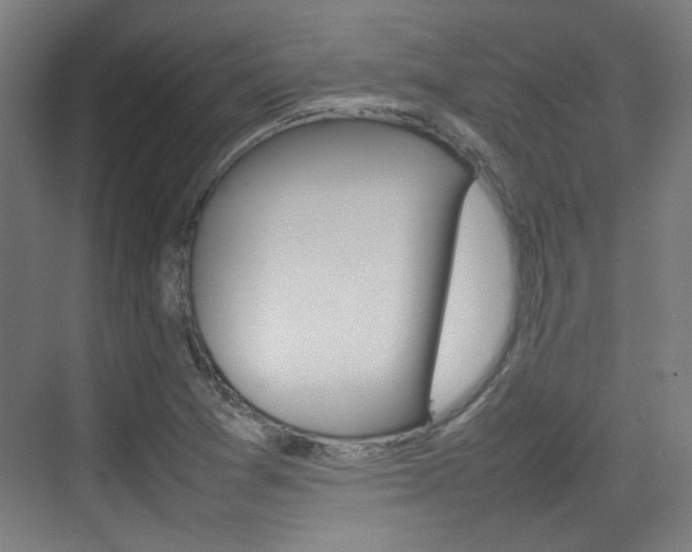 X0000074931361200609010908