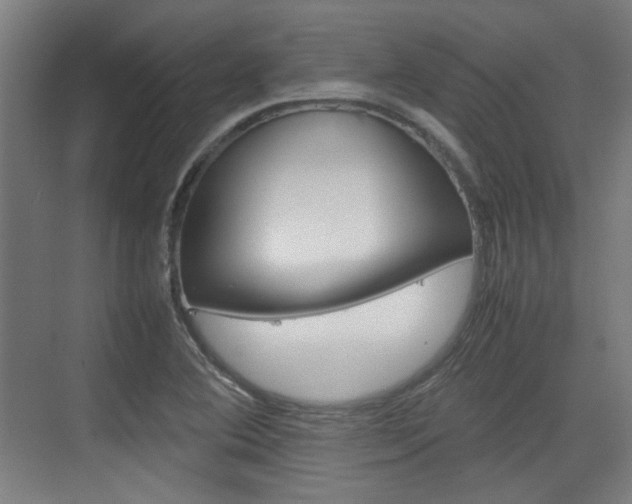 X0000074931364200609010908