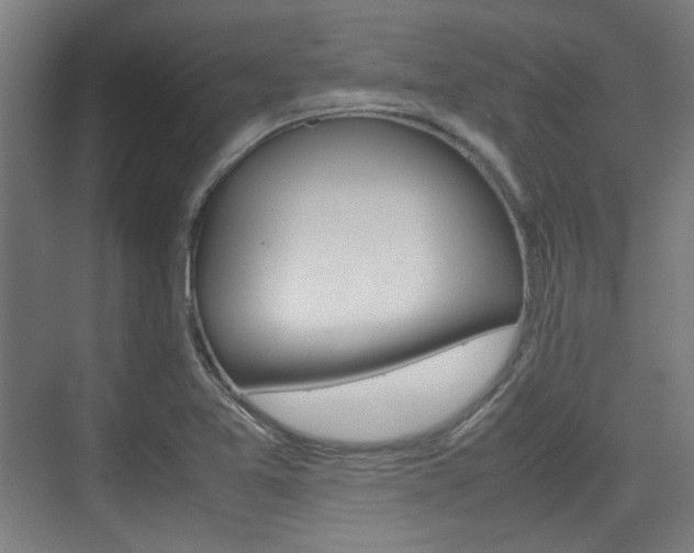 X0000074931365200609010908