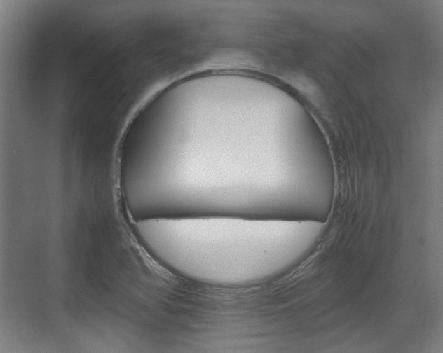 X0000074931366200609010908