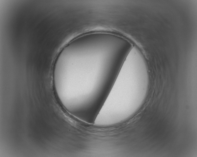 X0000074931367200609010908