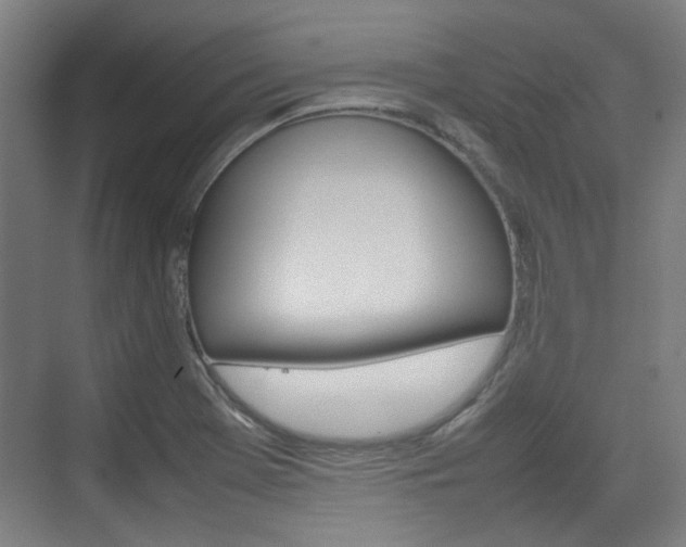 X0000074931369200609010908