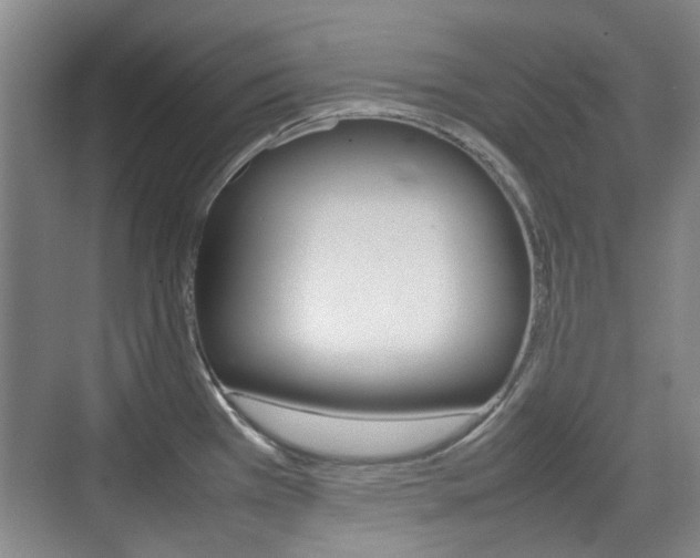 X0000074931385200609010908