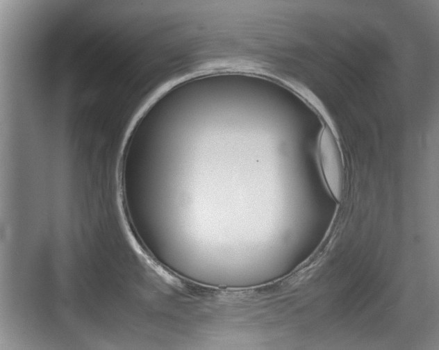 X0000074931389200609010908