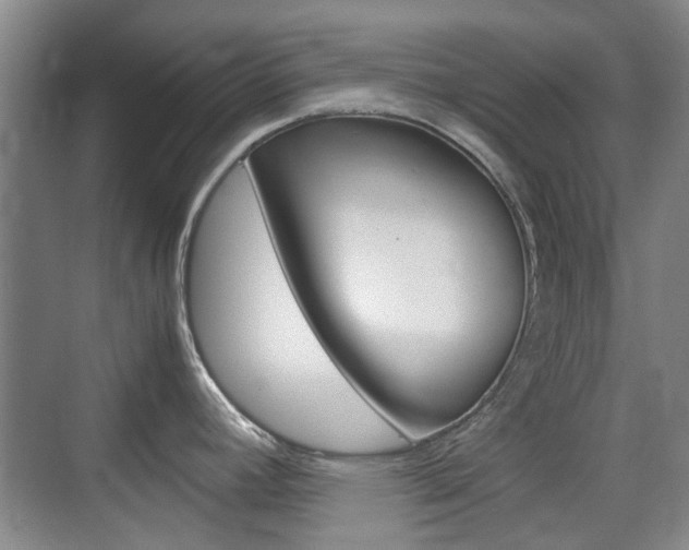 X0000074931392200609010908