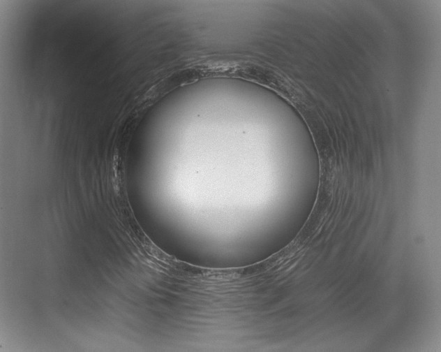 X0000074931394200609010907