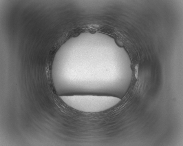 X0000074931395200609010907