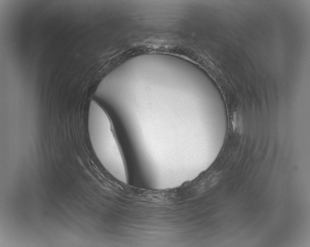 X0000074931396200609010907