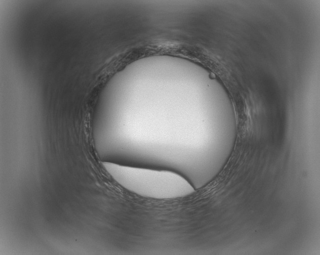 X0000074931397200609010907