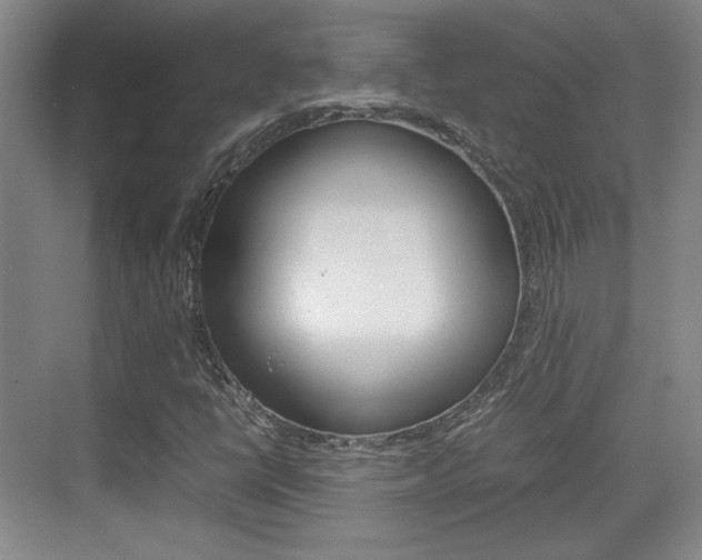 X0000074931398200609010907