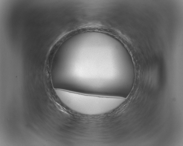 X0000074931400200609010907
