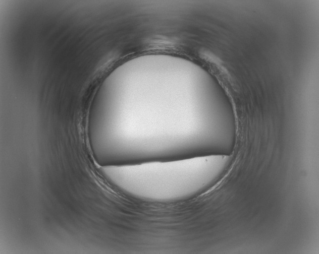 X0000074931403200609010907