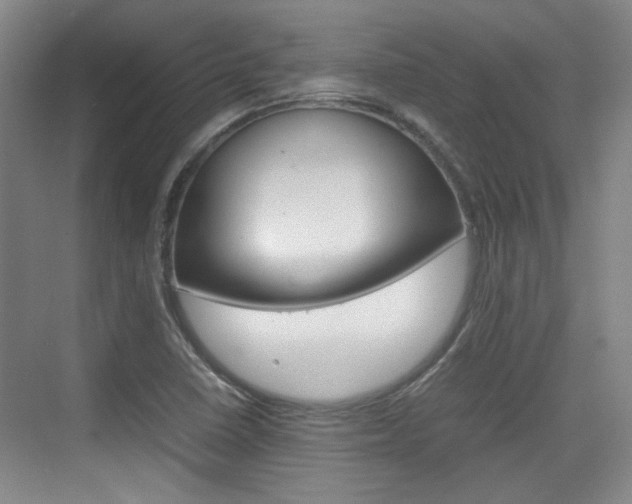 X0000074931410200609010907